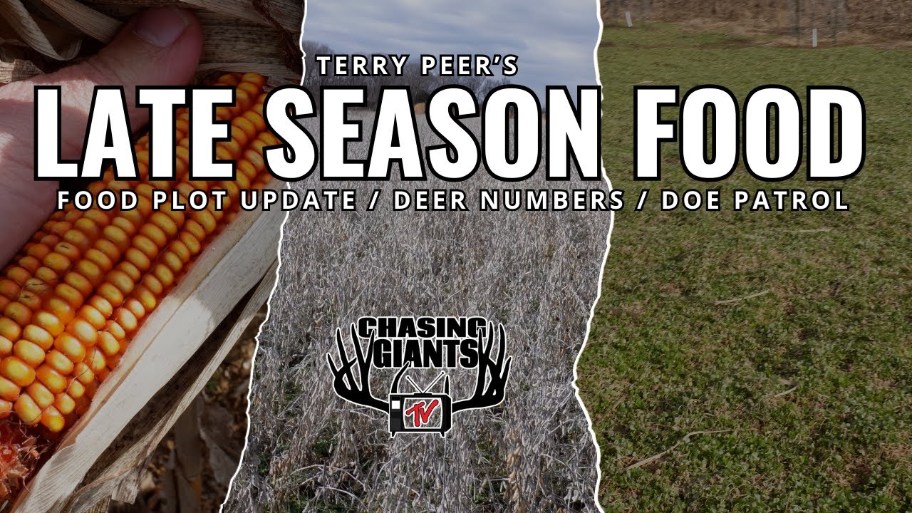 Late-Season Food Plots That WORK | Real Data from Kentucky Farm