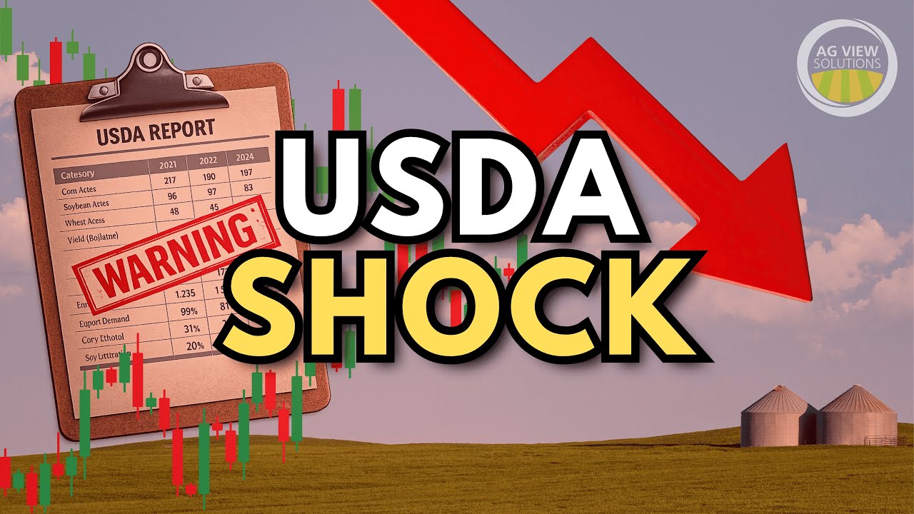 "USDA Report Fallout, and Pricing Expectations" - Weekly Market Outlook: Jan 19-23