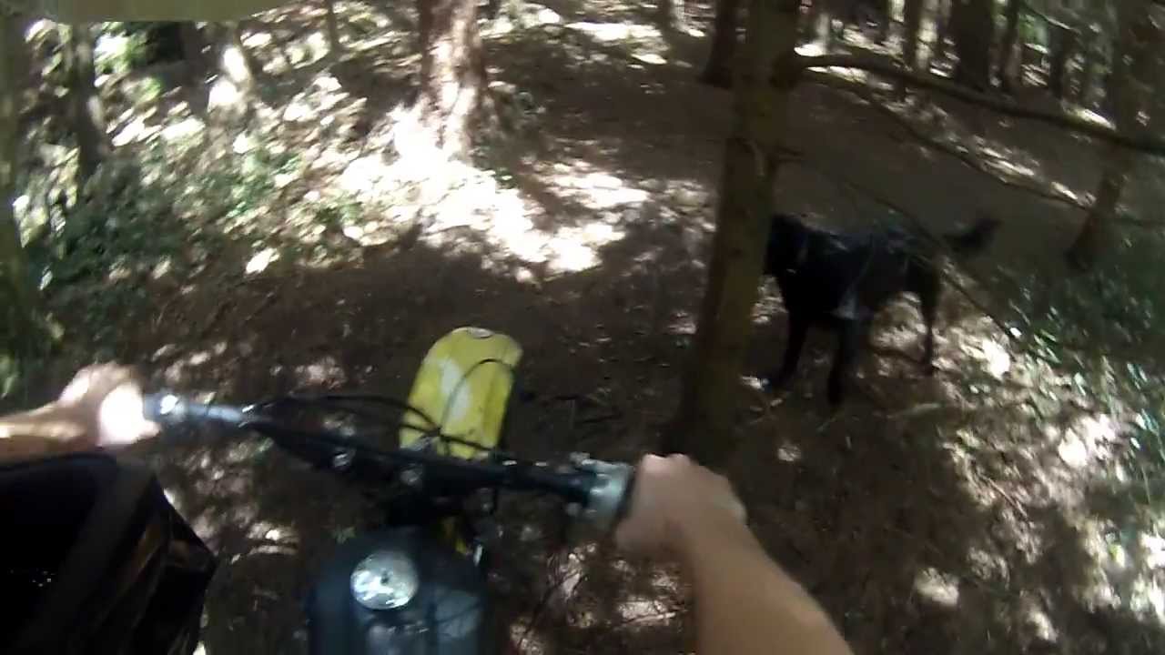 ballade du chien en moto cross 125 honda xls