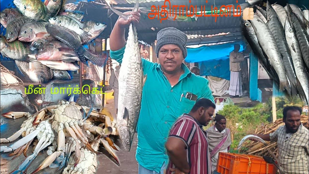 அதிராம்பட்டினம் மீன் மார்க்கெட்👍🏻👍🏻👍🏻👍🏻#subscribe #fishing |fishkannan|