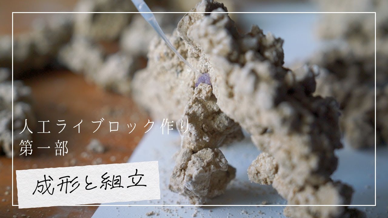 【海水魚水槽】顔料とセメントで作る人工ライブロック【第一部】
