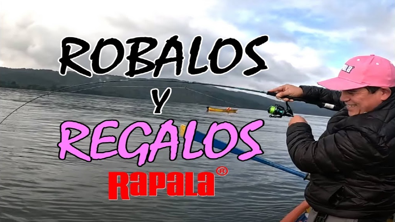 REGALOS Y ROBALOS #rapala
