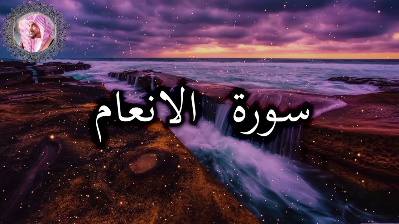 الشيخ عمير شميم Umair Shameem| تلاوة ندية من سورة الأنعام ليالي رمضان 1444