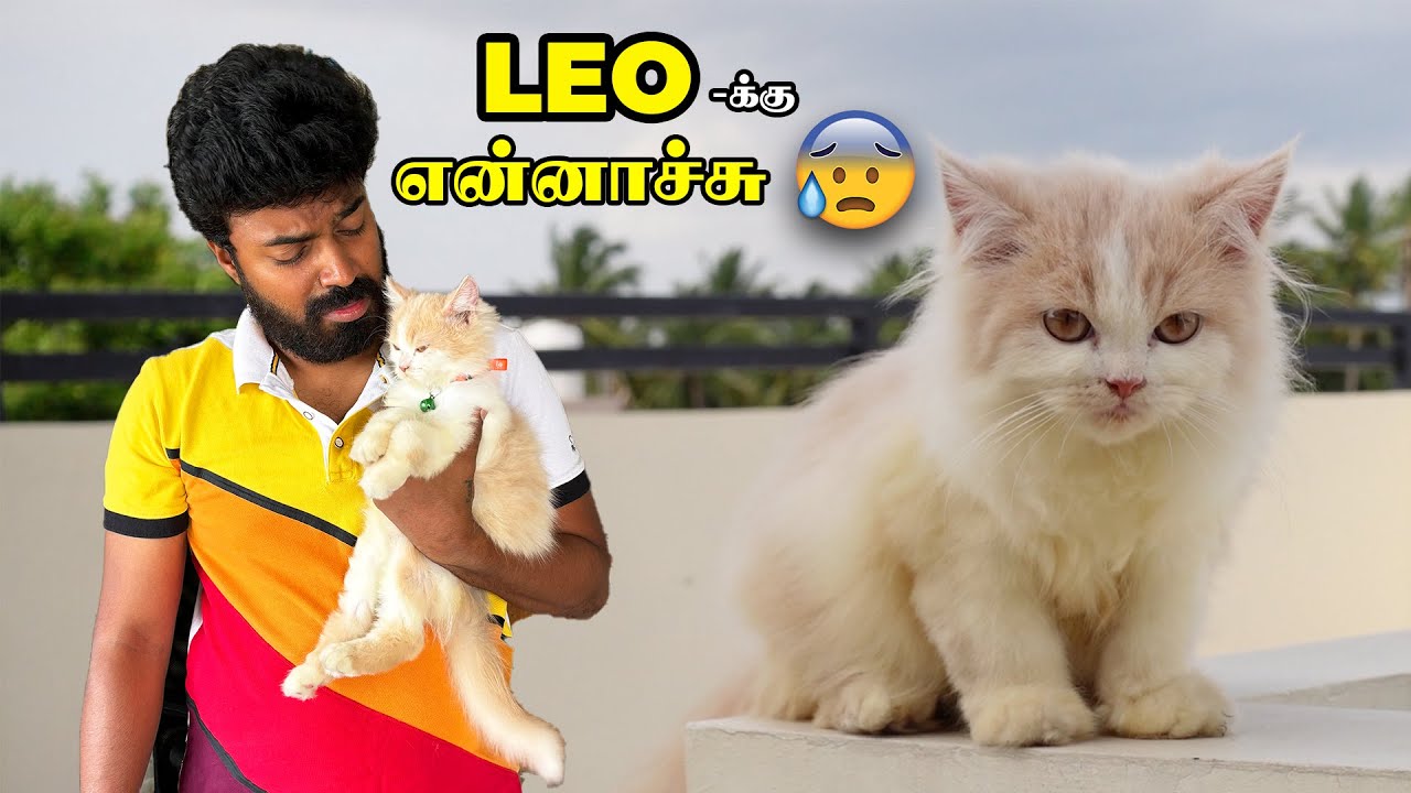LEO’S NOT WELL 🐈🤧SERIOUS ISSUE 🚨 Went To Hospital 😓 #ramkannan