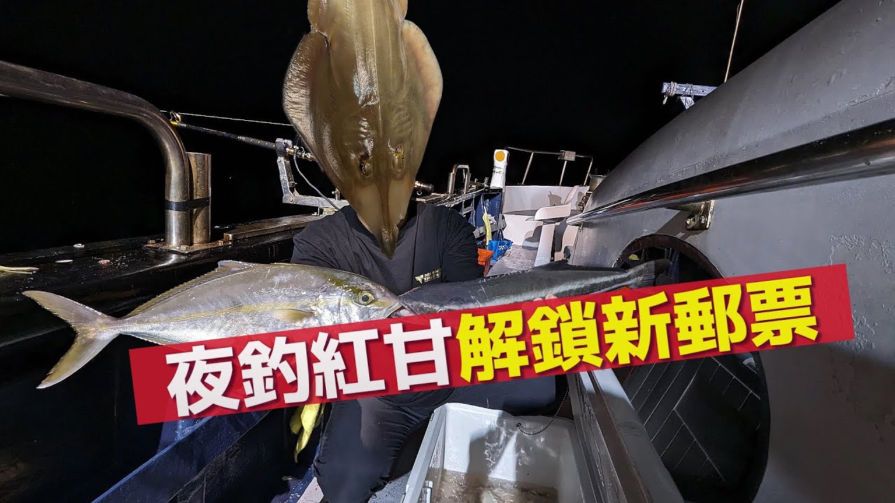 【海釣船釣魚】叫我鯊魚王！夜釣紅魽解鎖新郵票，下次還會釣到什麼鯊魚呢？