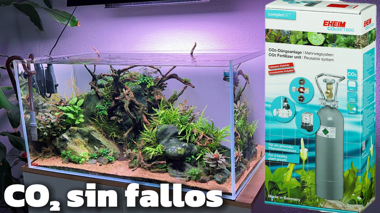 ¿CO2 sin sustos en tu acuario? Eheim SET CO2 600 es la solución