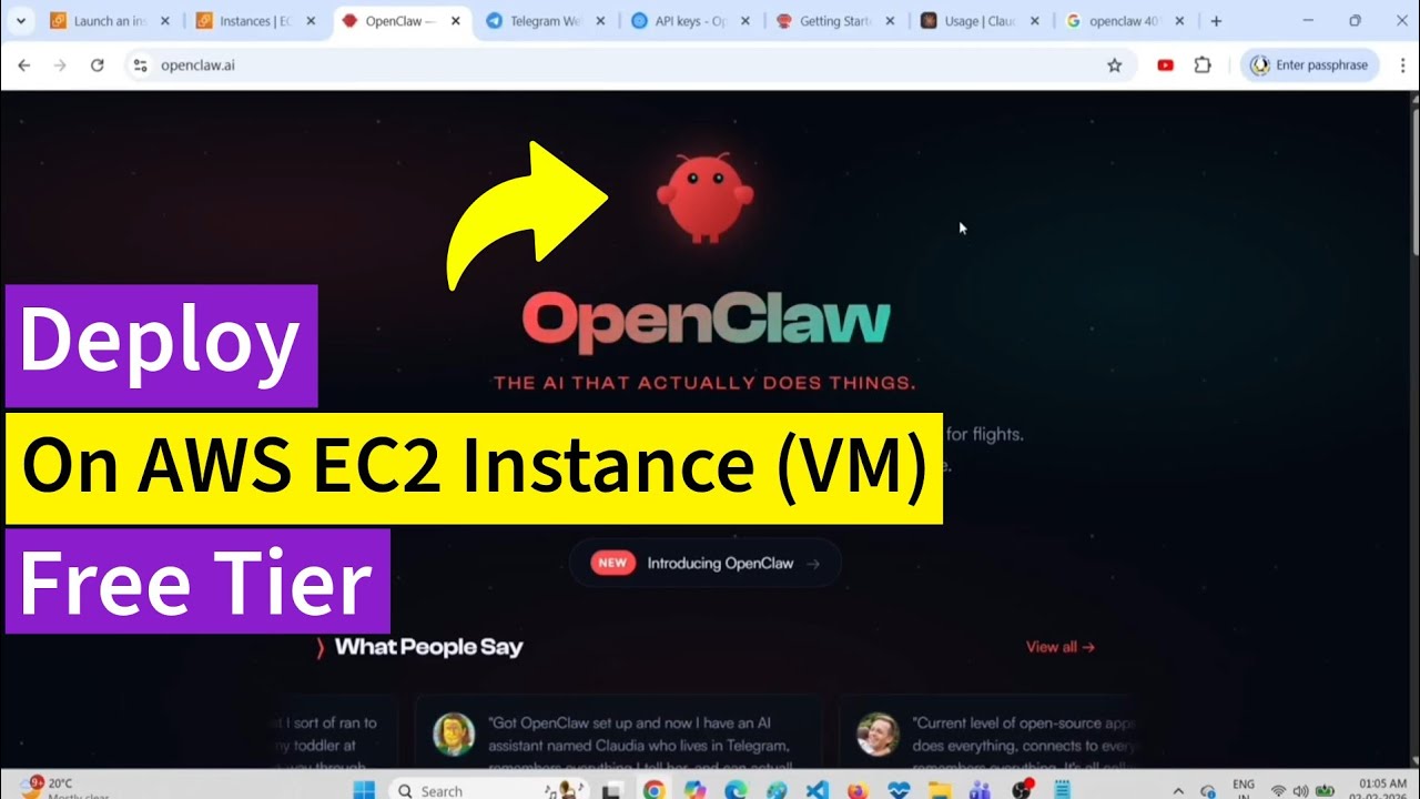Установка OpenClaw на виртуальную машину AWS EC2 с использованием OpenAI и модели GPT (бесплатный...