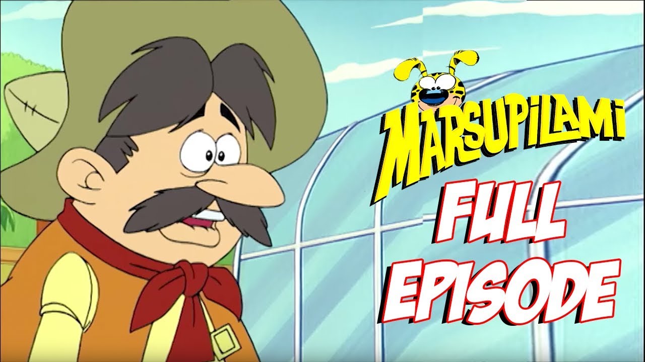The Marsupilami in Chiquitoland | Marsupilami | ZeeToons - Cartoons for All 📺