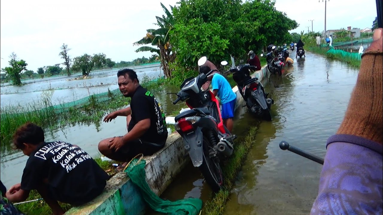 ADA KOLAM IKAN JEBOL....PEMANCING PESTA RAYA SAMPAI KUWALAHAN STRIKE MANCING DI PARIT