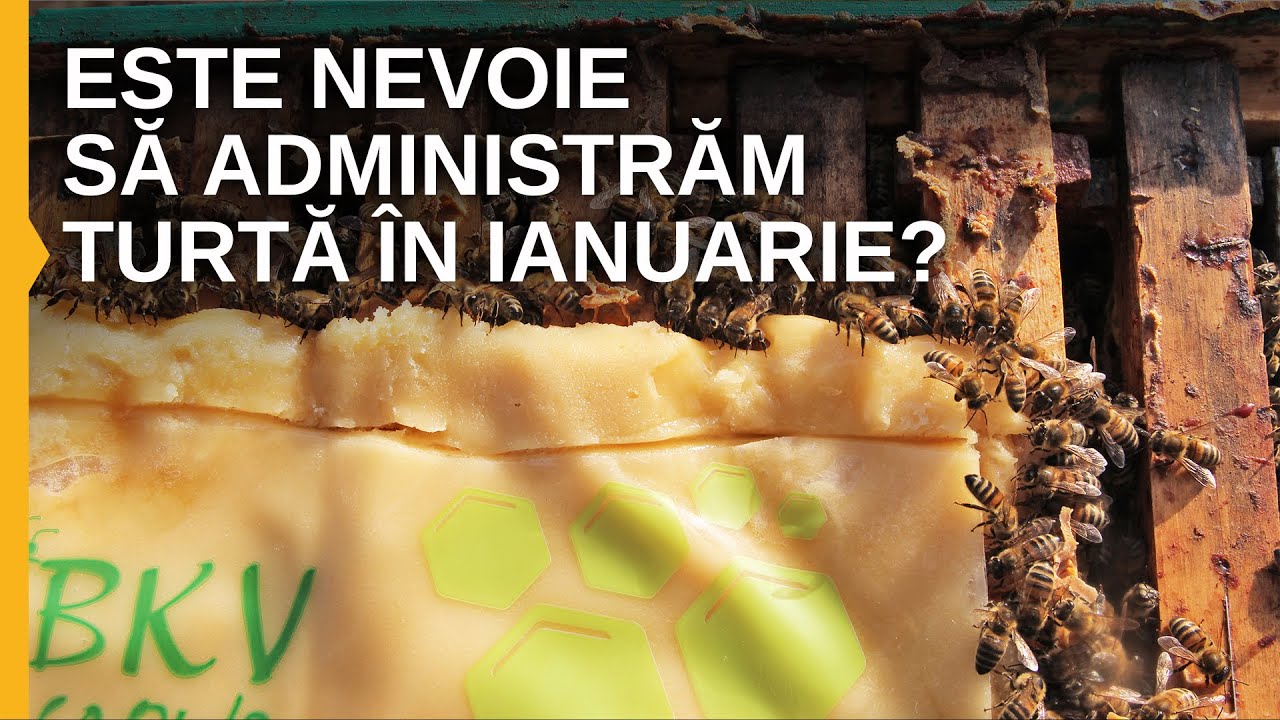 Este nevoie sa administram turta in ianuarie?