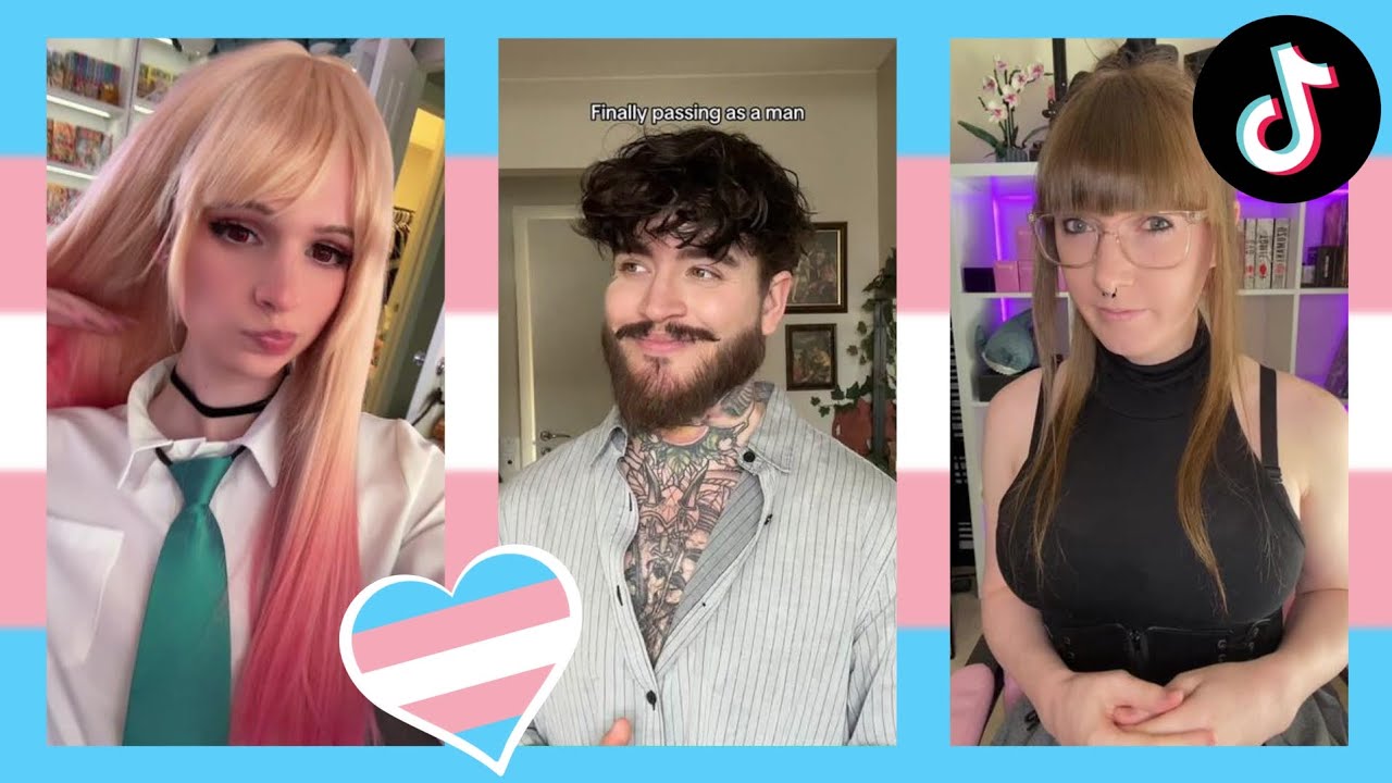 Trans TikToks Compilation #49