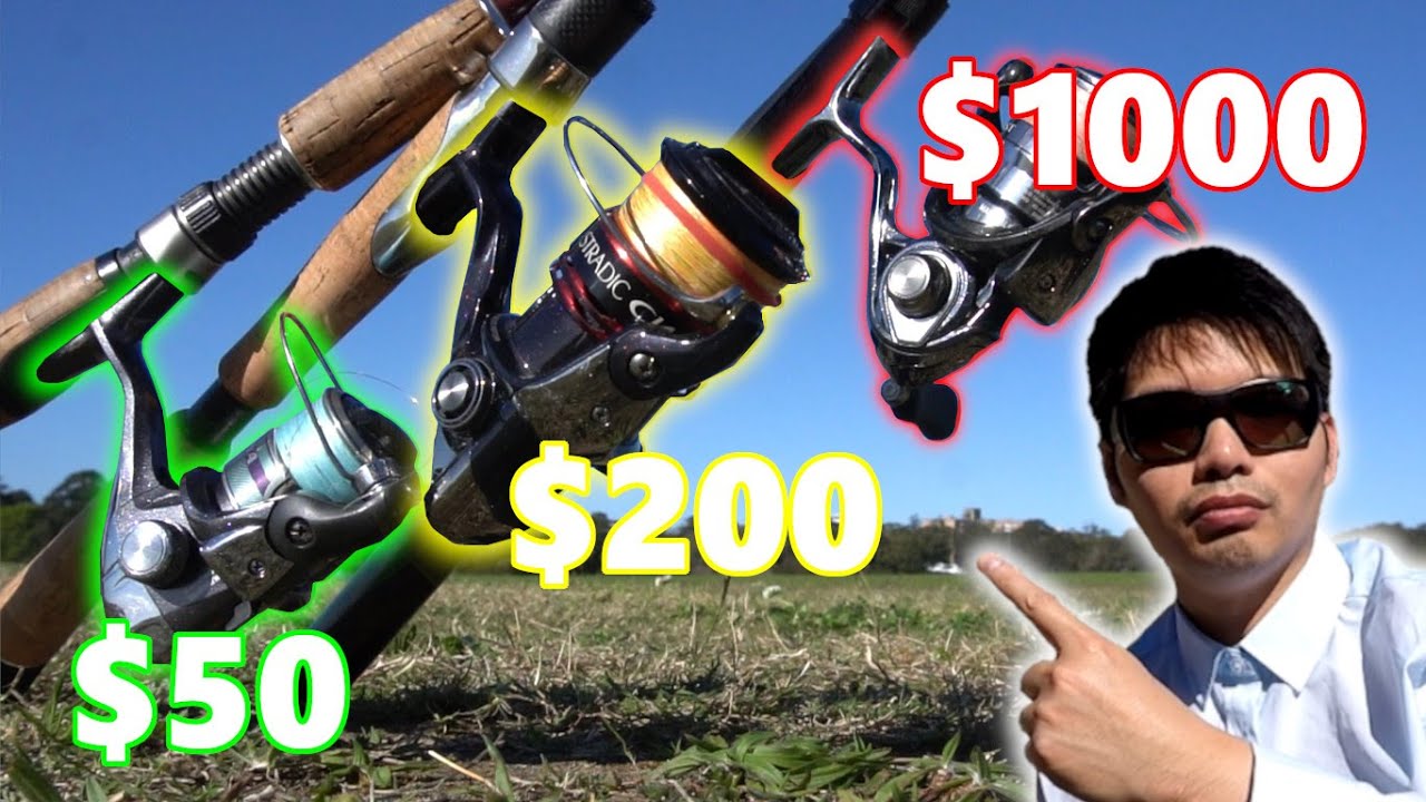 My Lure Fishing Setups | Price Vs Performance