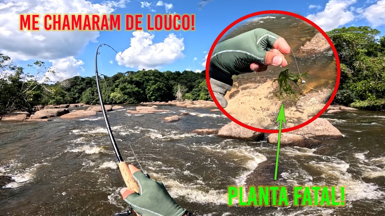 SOZINHO NA SELVA, UMA PLANTA SALVOU A PESCARIA!
