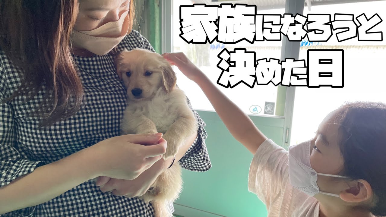 【出会い〜エピソード０】生後1ヶ月の愛犬と初めて会った日/家族になる前のお話