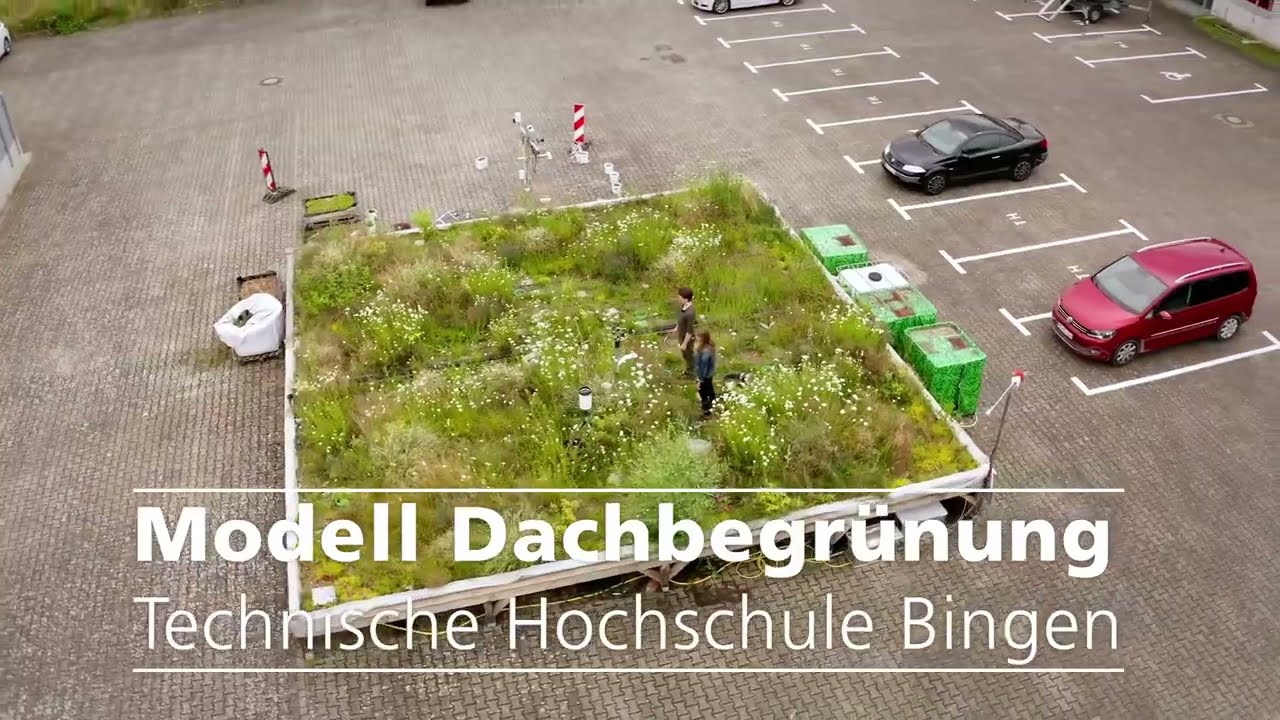 Modell Dachbegrünung  | TH Bingen