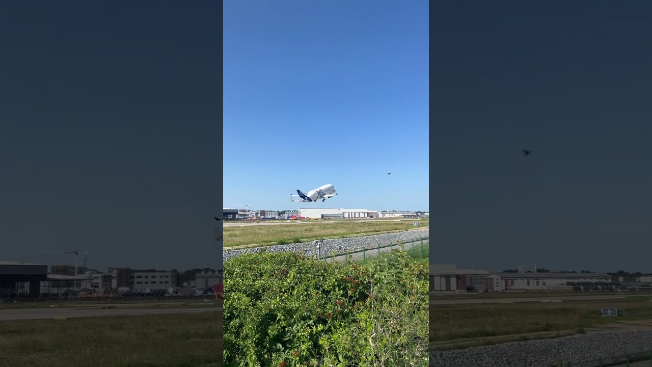 Beluga&ndash; avionul care arată ca o balenă uriașă ! 🐋✈️ #AirbusBeluga #aviatie  #zbor #aeroport #shorts