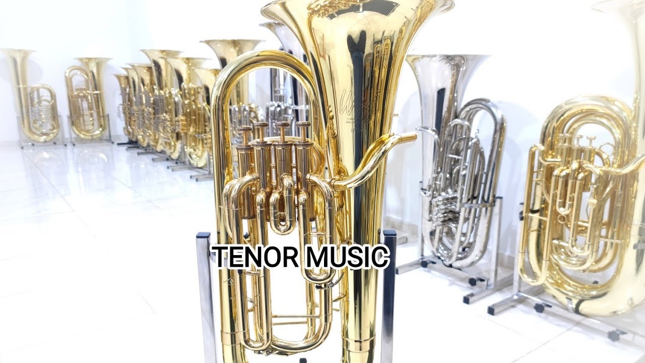 Review Eufônio / Bombardino Weril H980 Semi-novo - Execução de Cleverson Zavatto e Daniel Januário