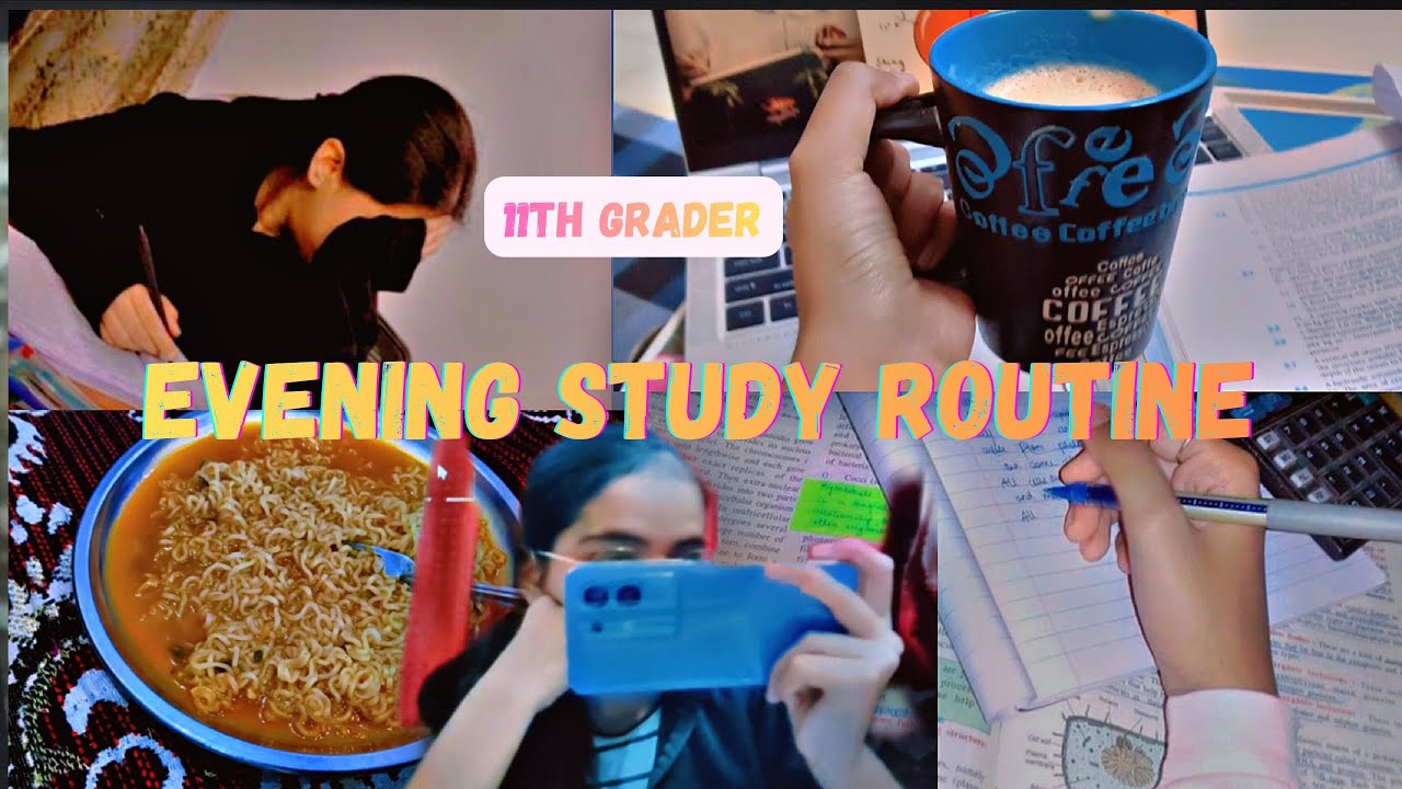 Evening Study Routine🥀As a CBSE 11th grader💫||School student evening routine🌷