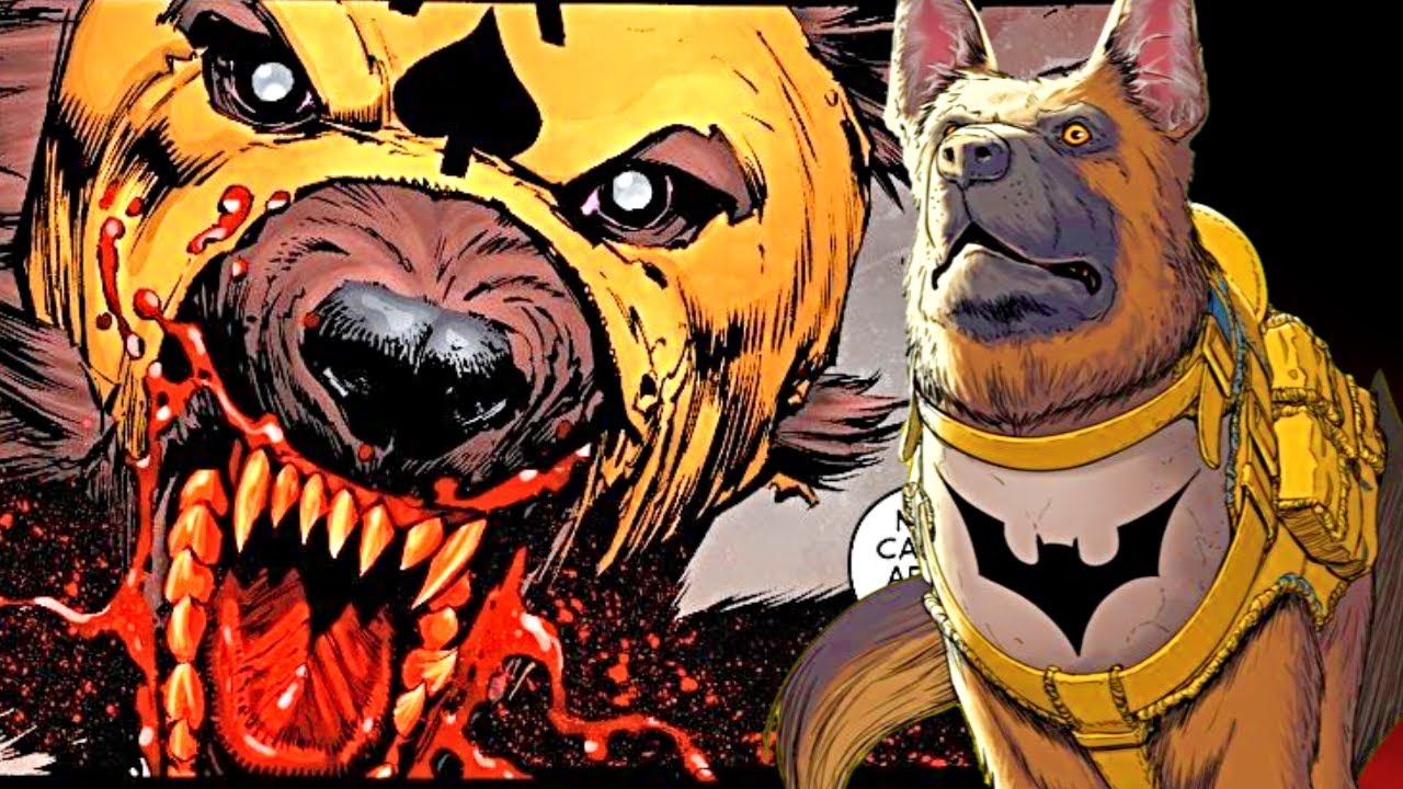 Ace The Bat Hound Origins - Batman&rsquo;s Best Friend, His Aide, His Dog's Exceptional Backstory Explored