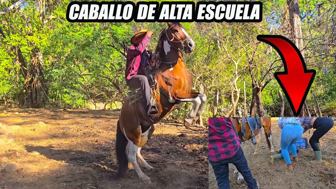 Ronal presume de su caballo de alta escuela😍🐎.