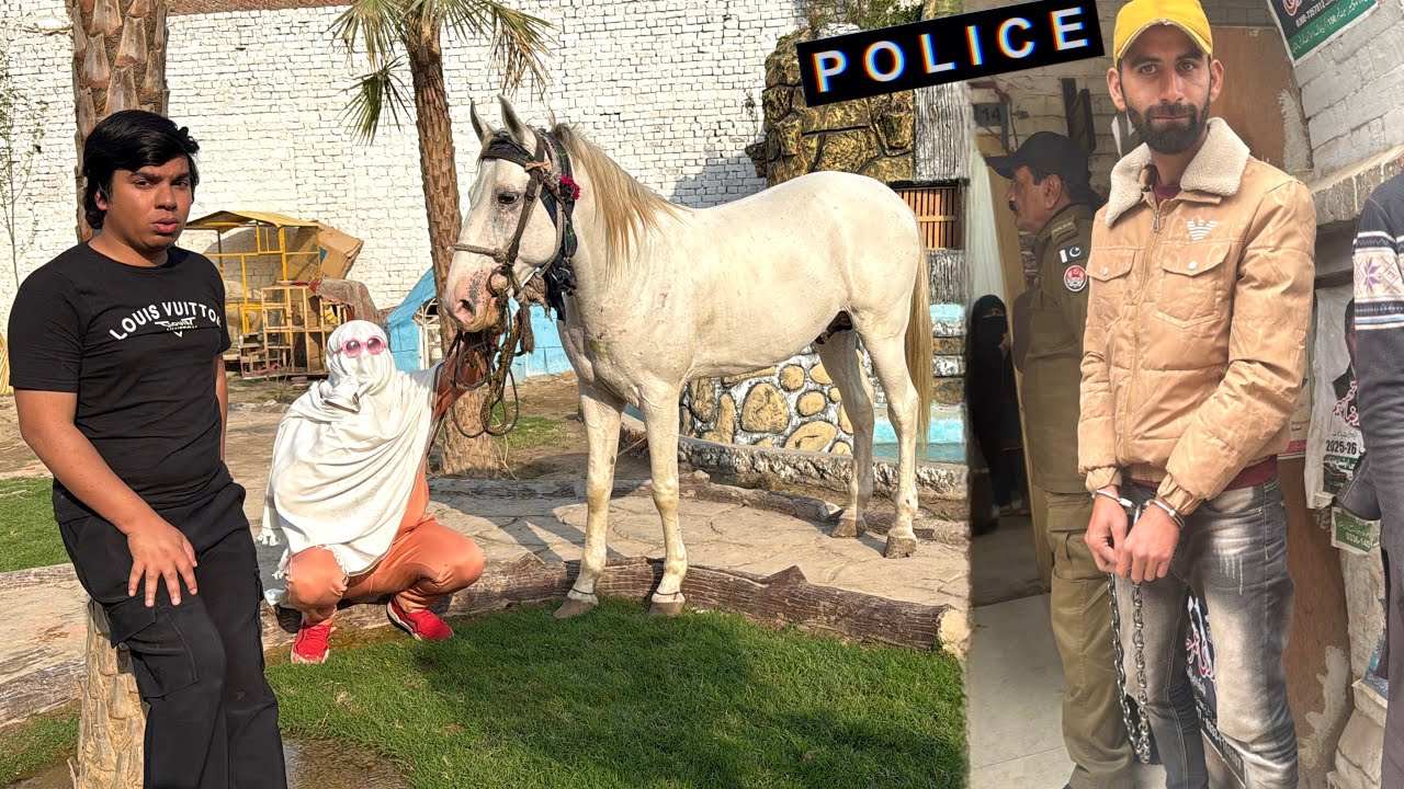 Zoo Mein Ya Horse Kaha Sy Aya 😱 Javaid Ko Police Ly Gahi 😔