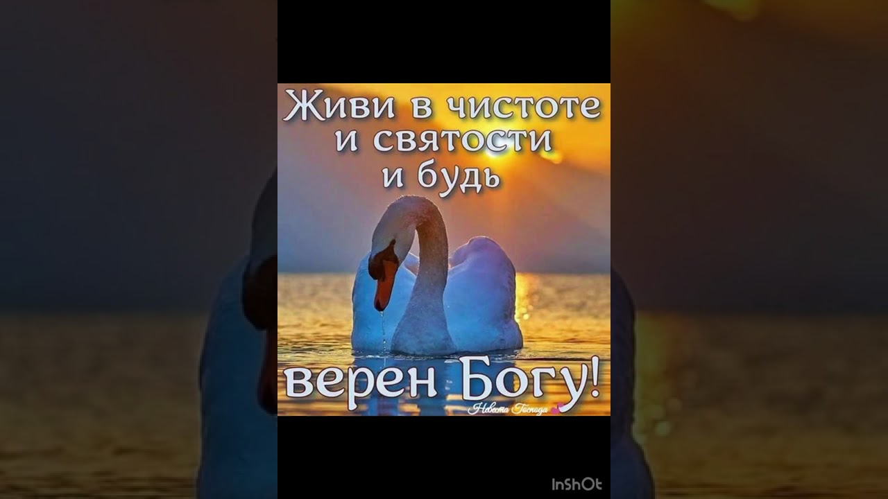 Стих . Сестра Зема . ХВЕ Звезда на Востоке . Баку