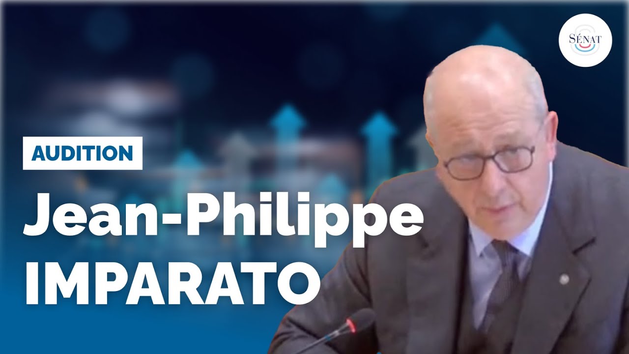 Aides aux grandes entreprises : audition de Stellantis