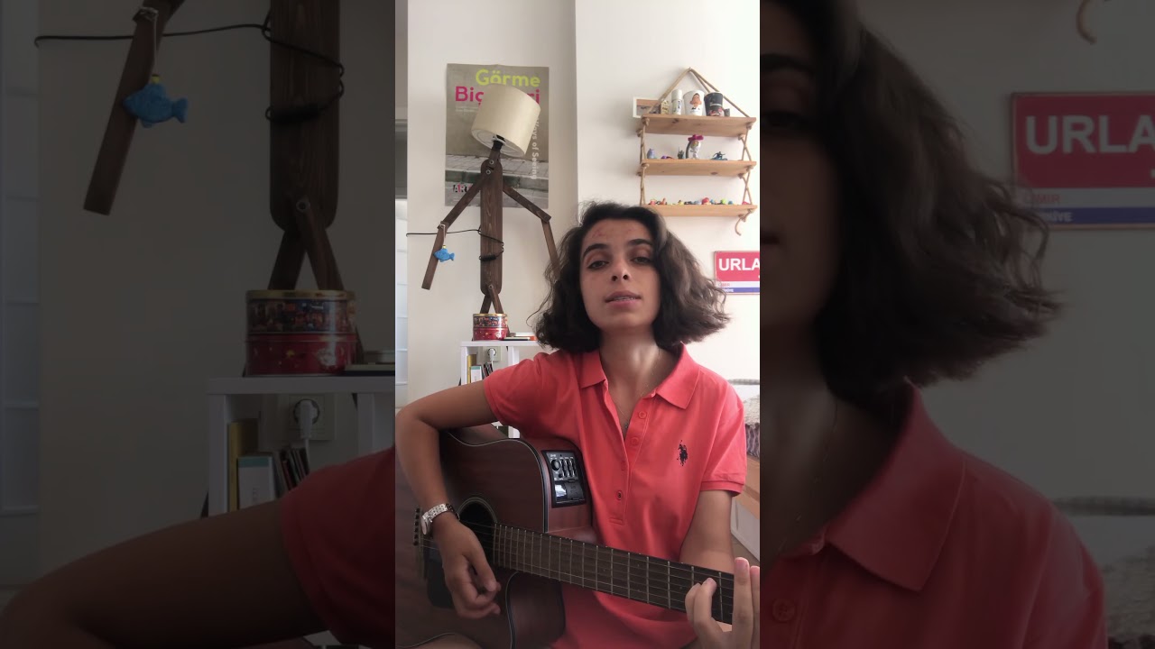 Ezginin Günlüğü - Martı (suhedaydogan cover)