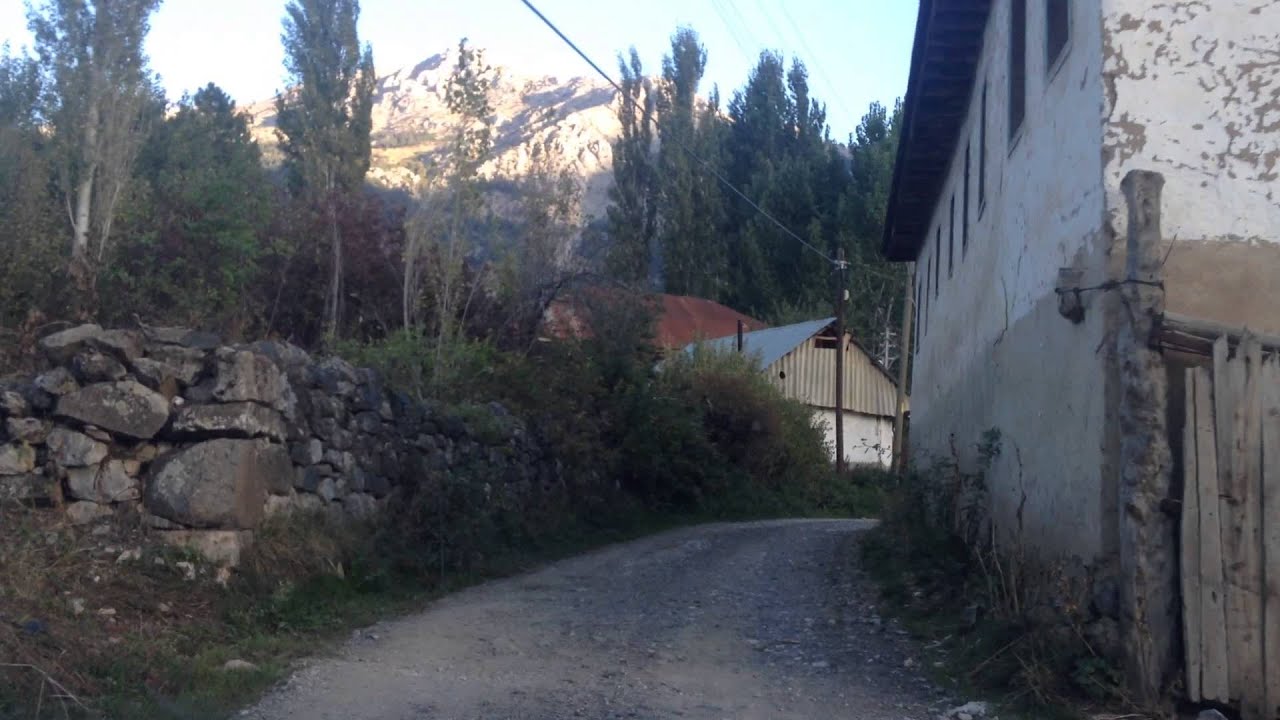 Fındık guaje