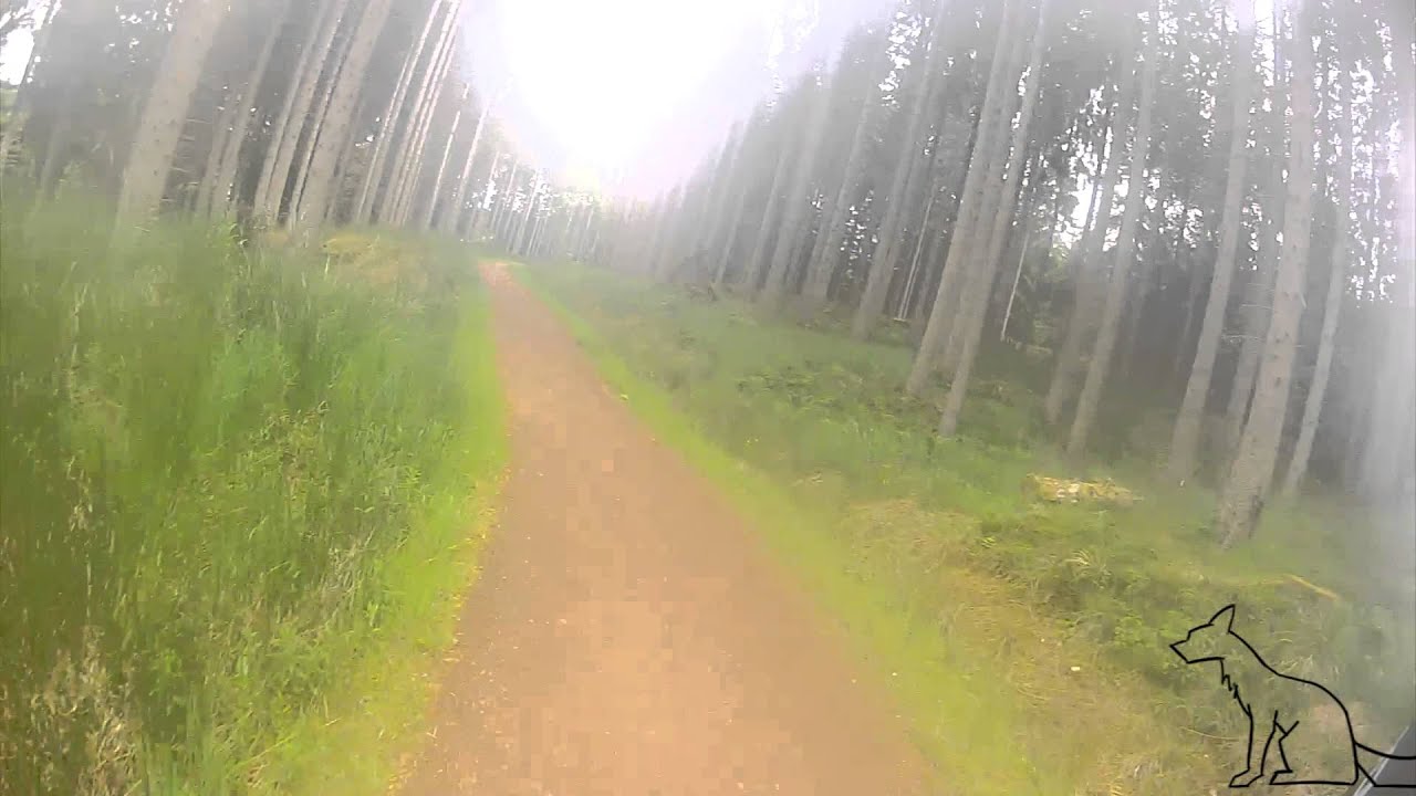 Lakeside Way - Kielder Forest