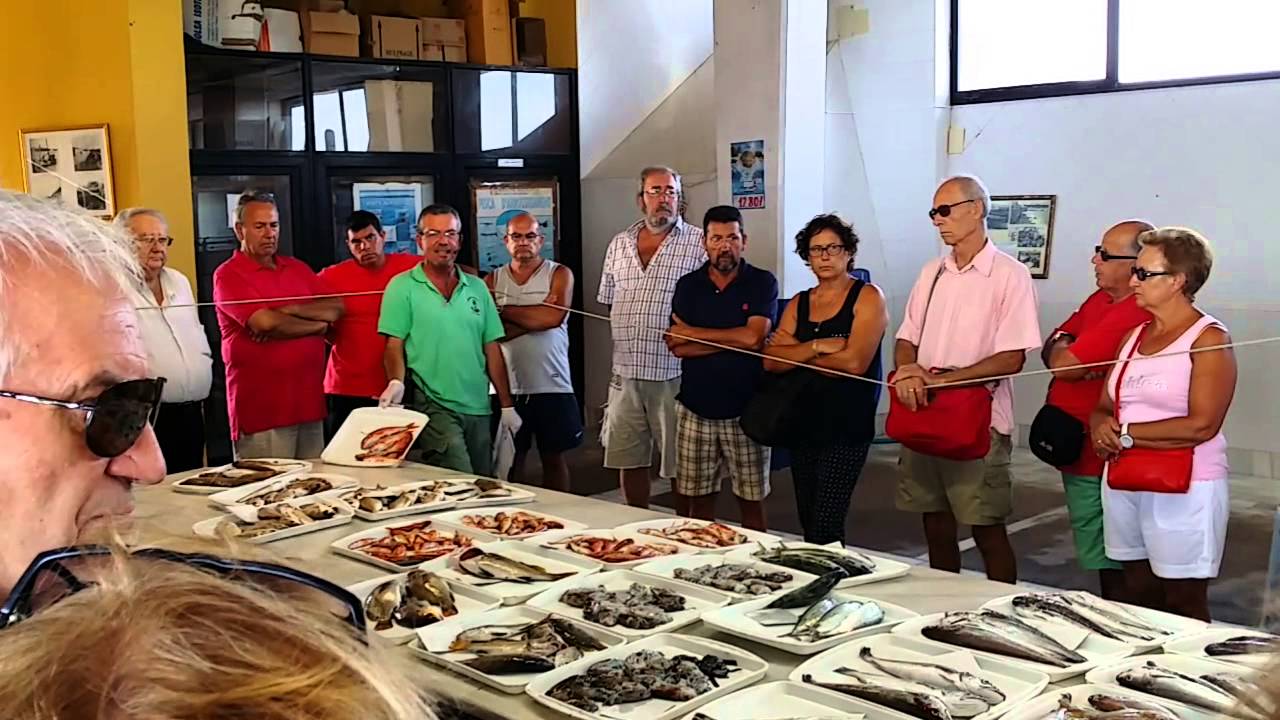Subasta pescado lonja campello. fish auction
