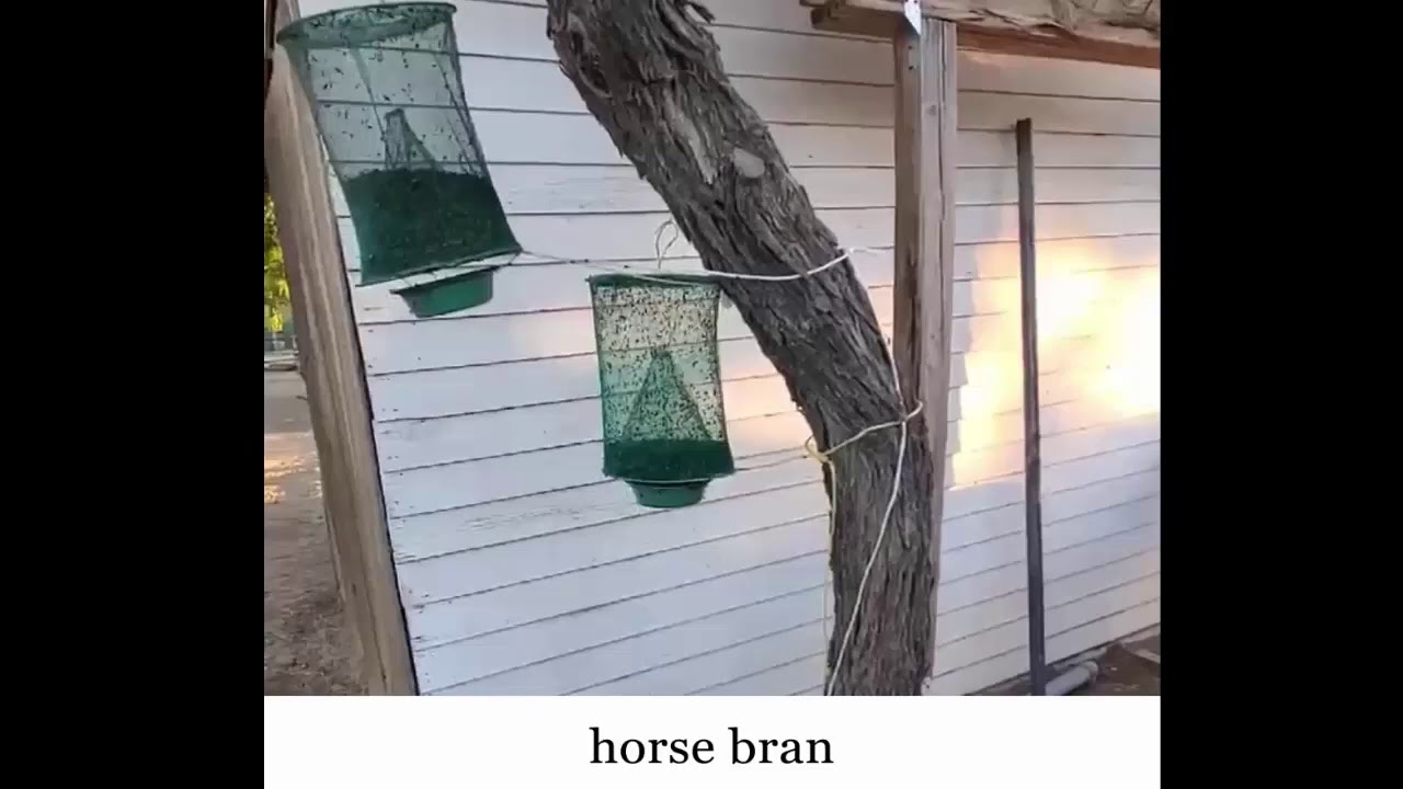 ZeroFlies ™ Ranch Fly Trap