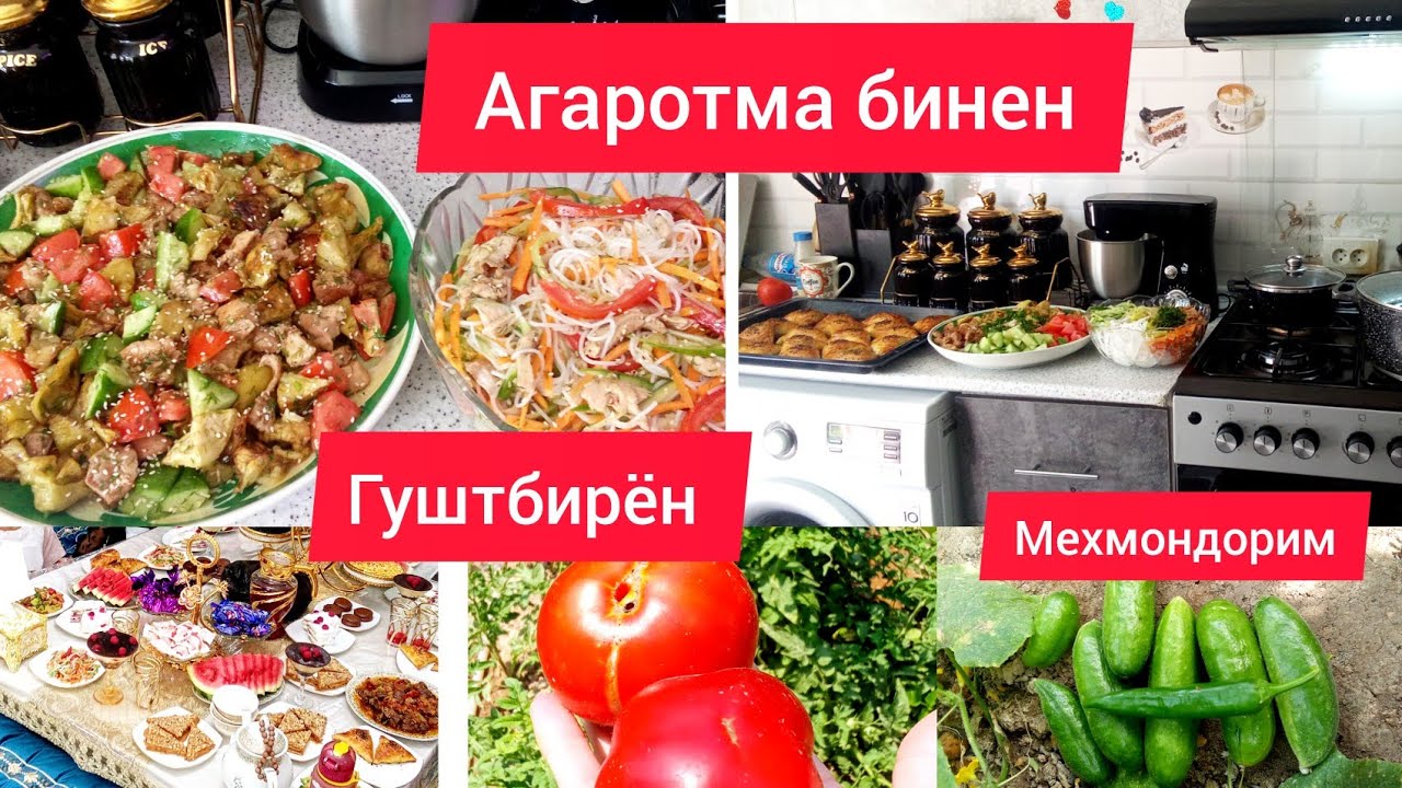 Тарзи таёр кардани Гуштбирён барои Шогирдум Ду намуд Салат бо гушти Мург✨