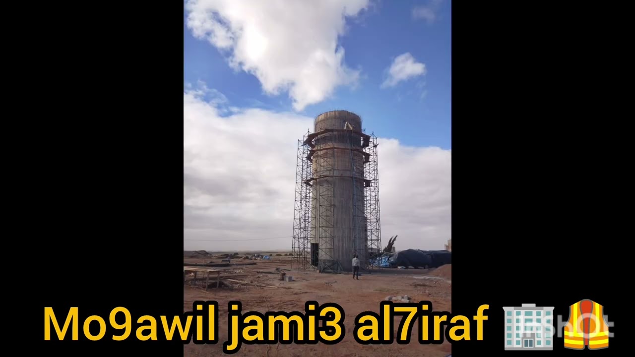 12 فبراير 2026