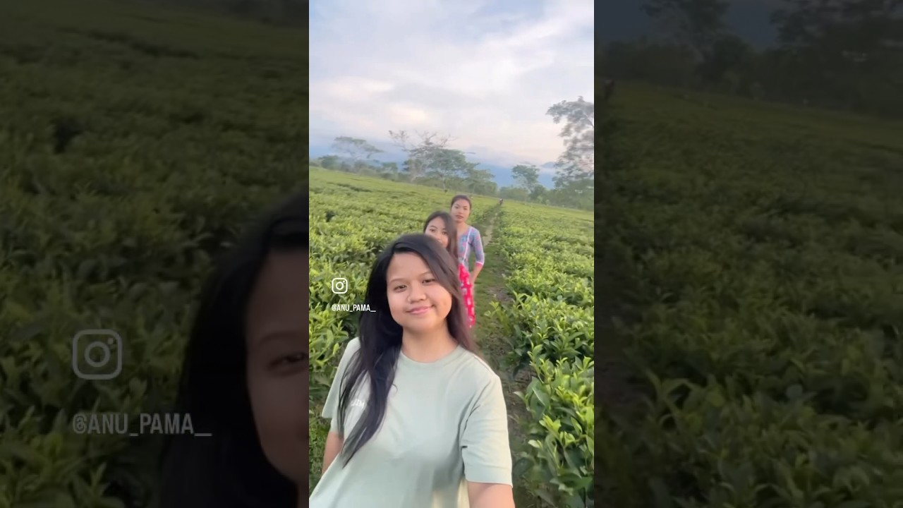 Doomni Tea Garden 🌱