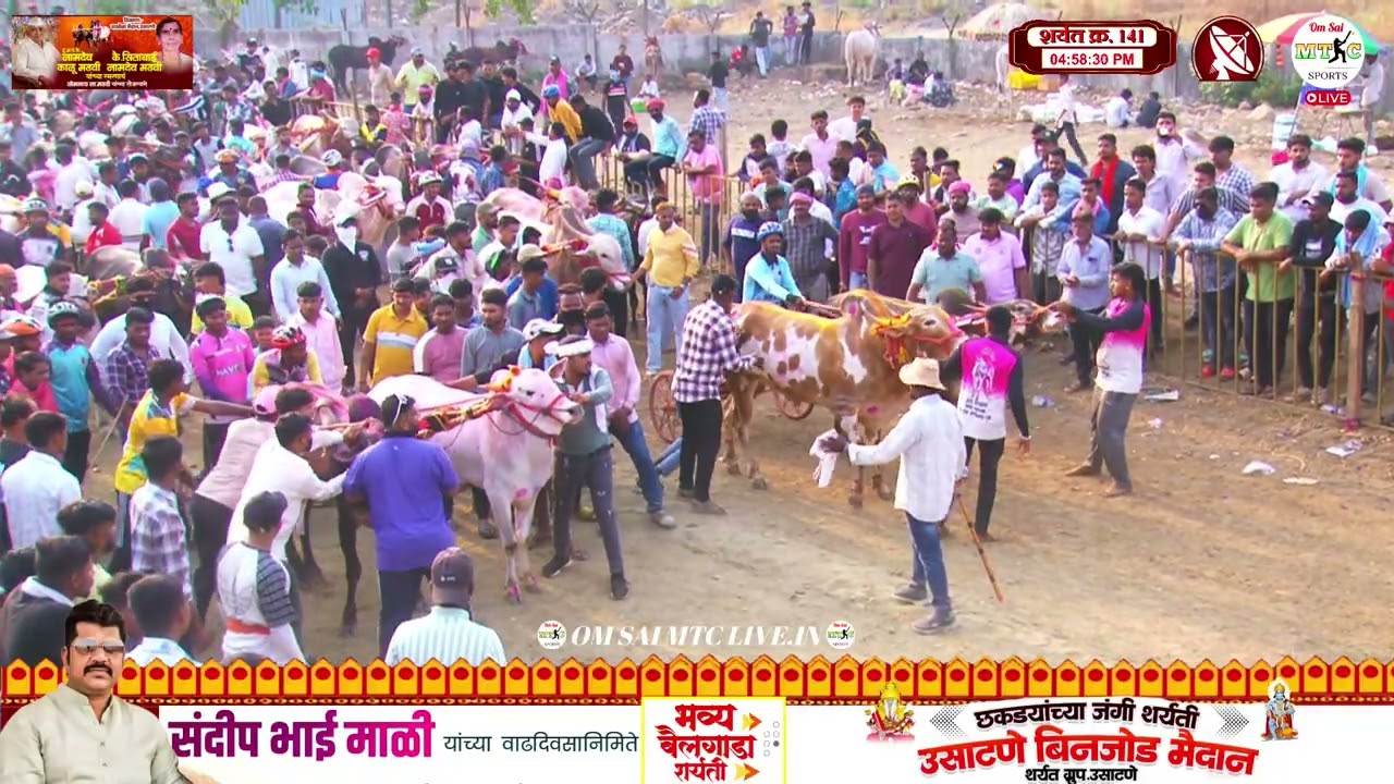 सर्जा आणि टेंबरे कर्जत करांचा बैल