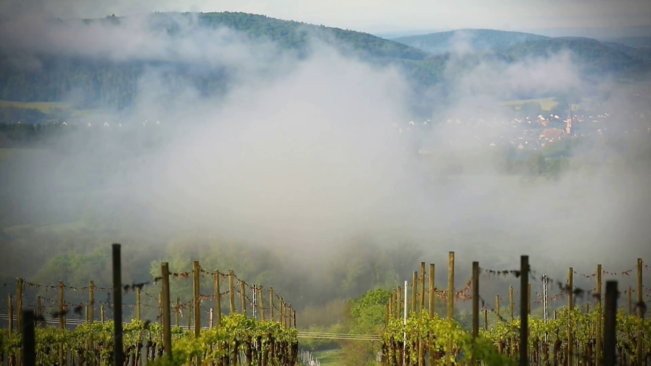 Imagetrailer Hösbach - Ein bevorzugter Ort zum Leben und Arbeiten