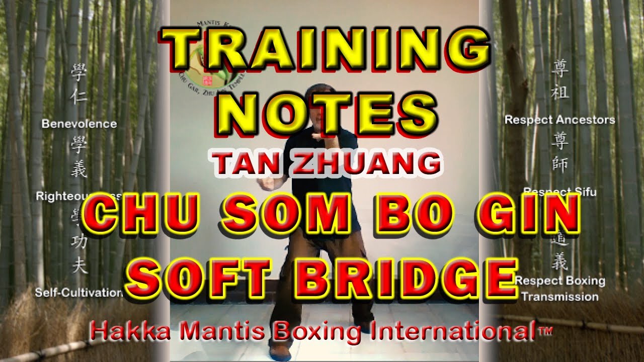 TRAINING NOTE SOFT BRIDGE