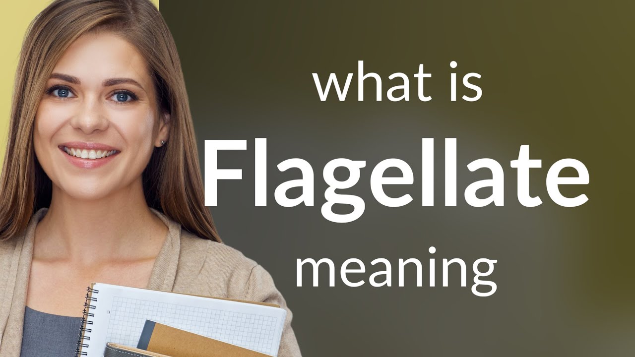 Flagellate | what is FLAGELLATE definition