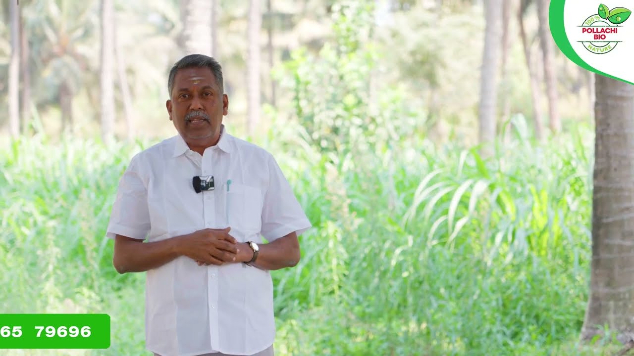 இளநீர் எடை அதிகரிப்பு – வெள்ளை ஈ கட்டுப்பாடு – நோய் தாக்குதல் குறைவு! | Pollachi Bio