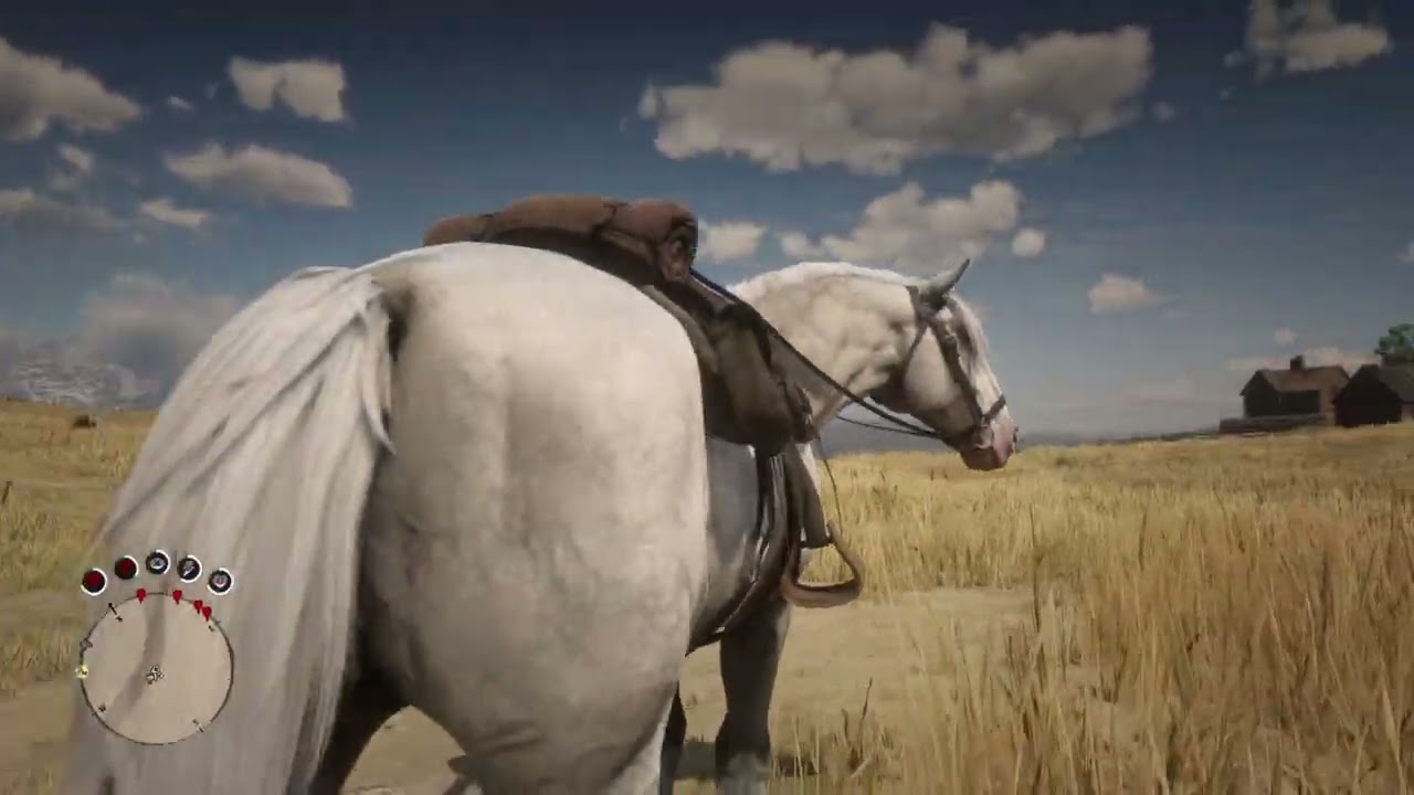 RDR2 rip whitie McBard