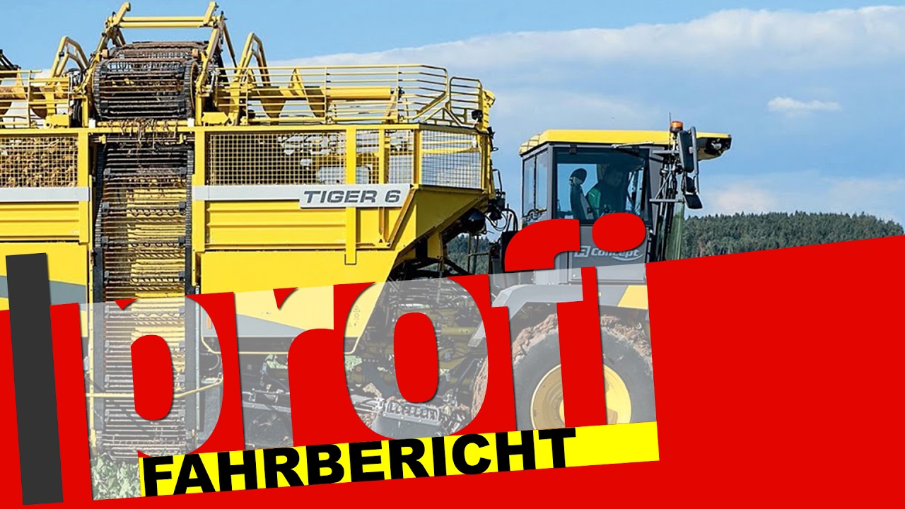 Ropa-Rübenroder Tiger 6
