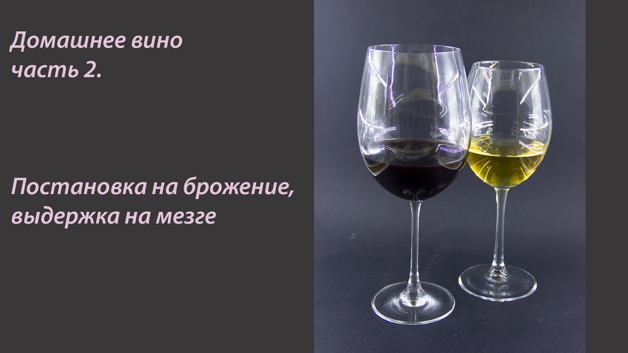 Домашнее сухое вино Часть 2. Постановка на брожение
