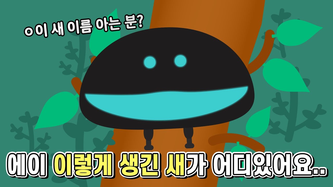 새라고 믿기지 않지만 새라고 이야기 하는 바로 그 새의 정체