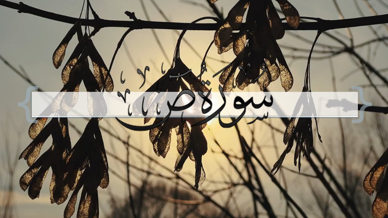 { سورة ص } | ماجد العنزي .