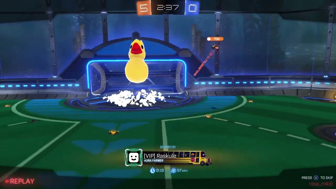 Im the king