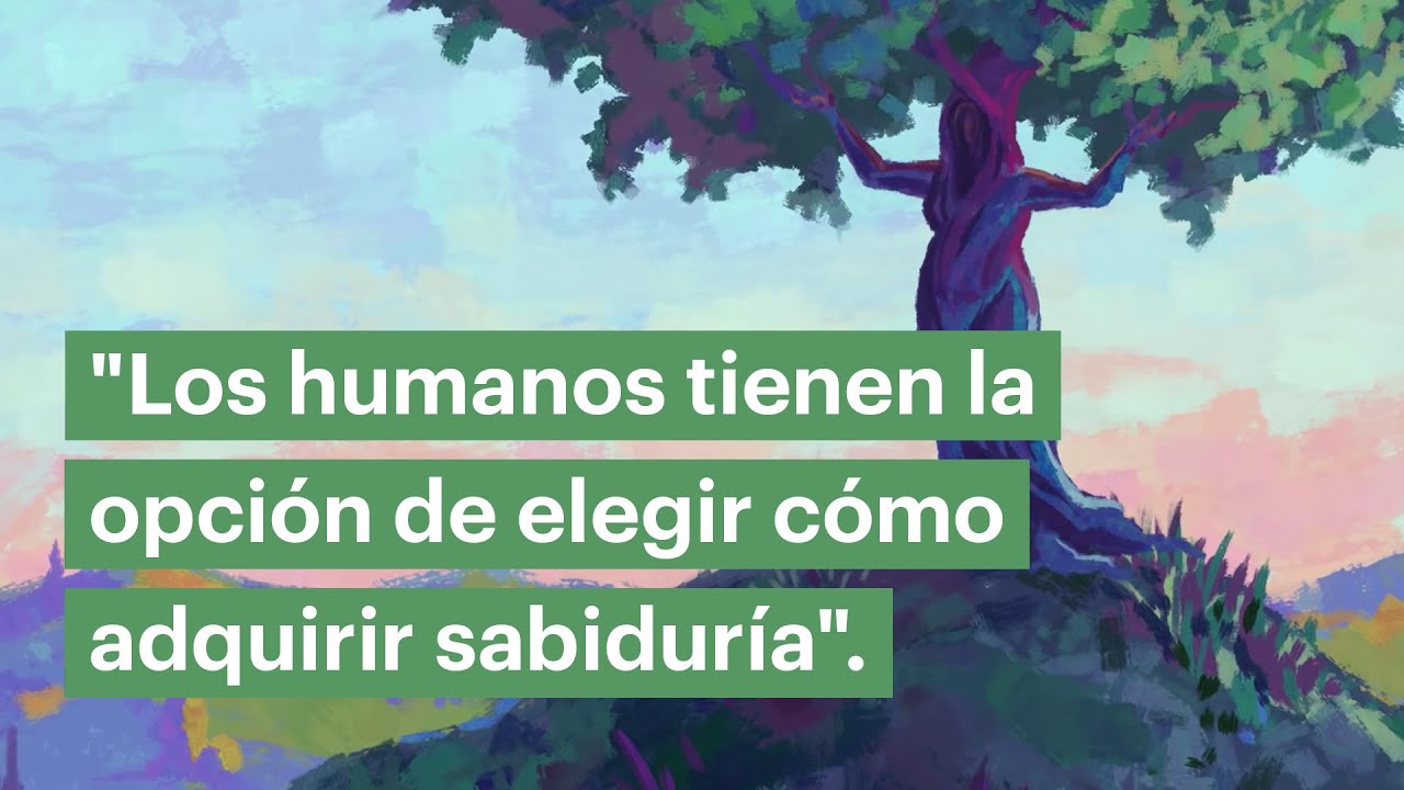 Los Libros de Salom&oacute;n