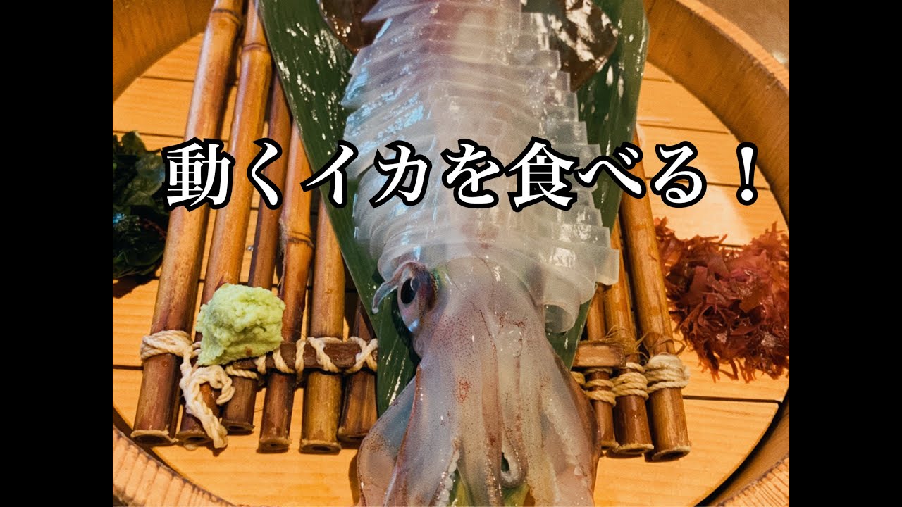 新鮮なイカ姿造りを食す！西中洲まる家レポート！