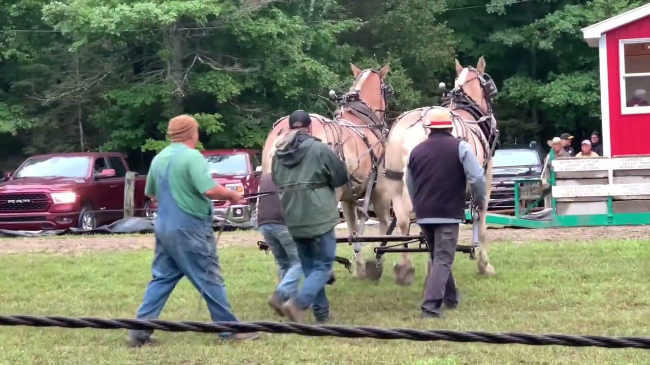 stalwart lightweight horse pulls 2025