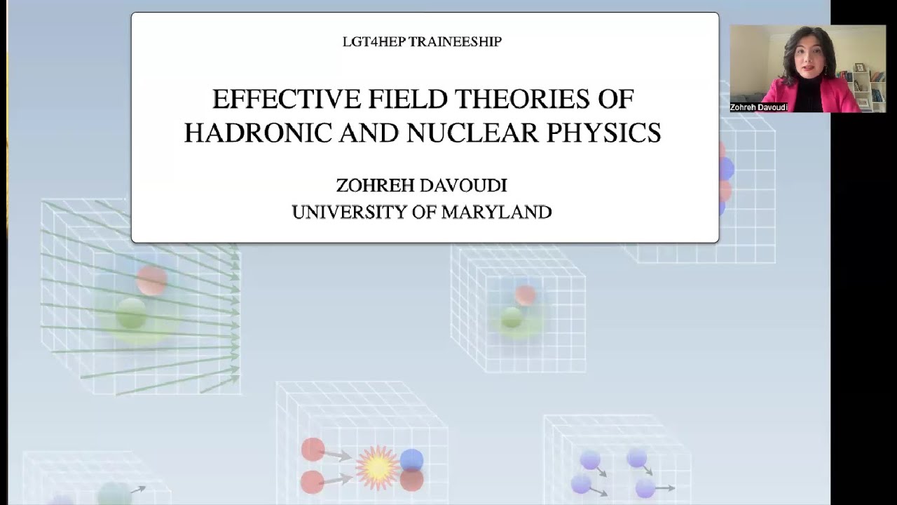 Effective Field Theories of Hadronic and Nuclear Physics